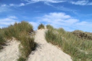 dune tourisme durable